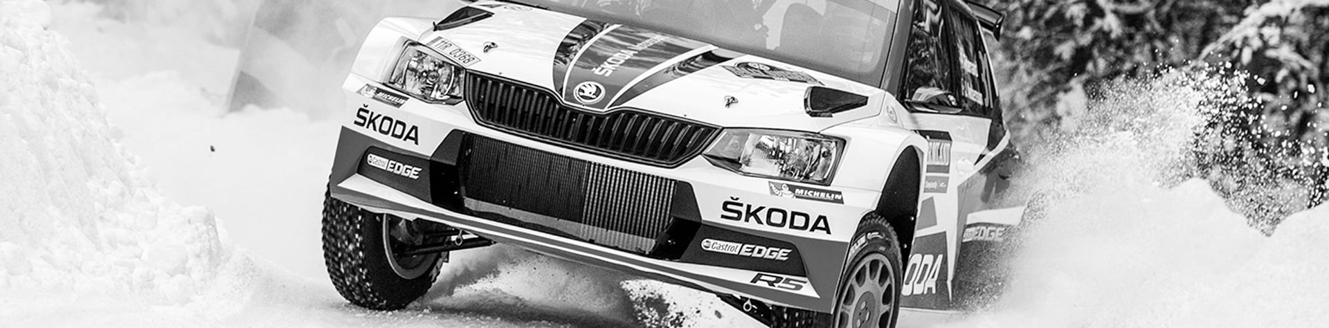 skoda-fabia-r5-ice-cover-2